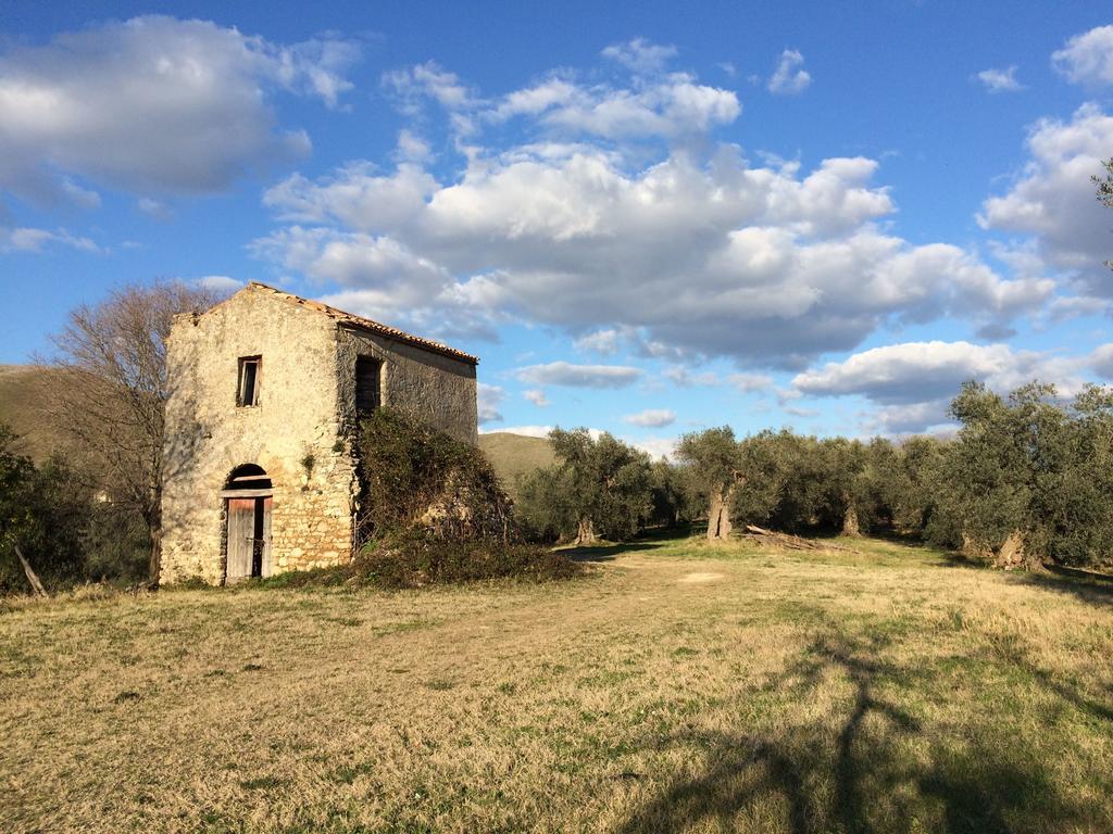 Villa La Tartaruga Sabina Palombara Sabina Exterior foto